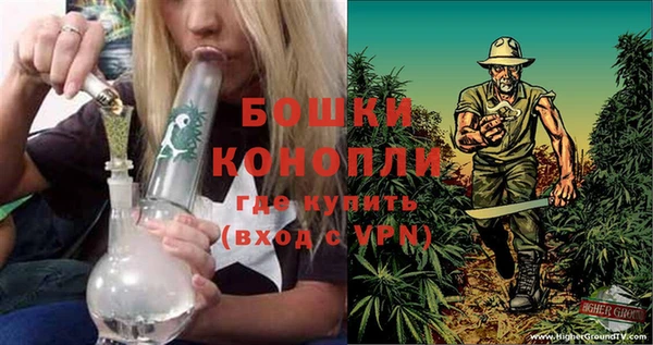твердый Майский