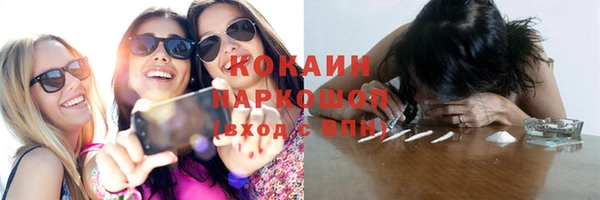 твердый Майский