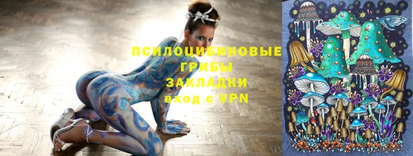 твердый Майский