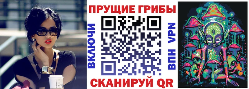 Купить где  Козловка  Галлюциногенные грибы Cubensis 